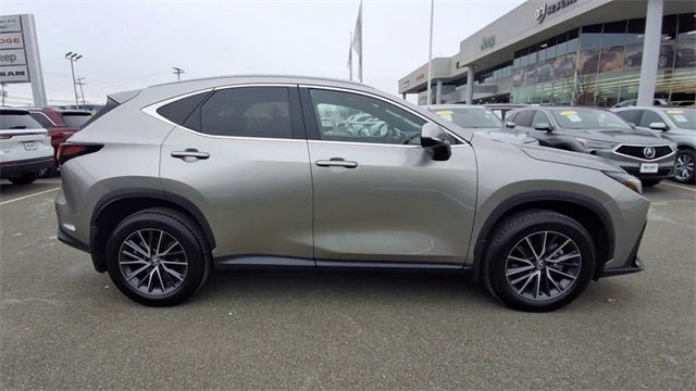 2024 Lexus NX 350 Premium