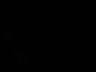 2025 Dodge Charger Daytona R/T