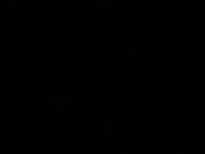 2025 Dodge Charger Daytona Daytona R/T