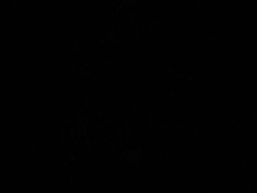 2025 Dodge Charger Daytona Daytona R/T