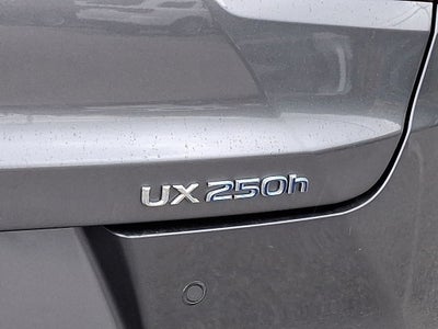 2019 Lexus UX Base