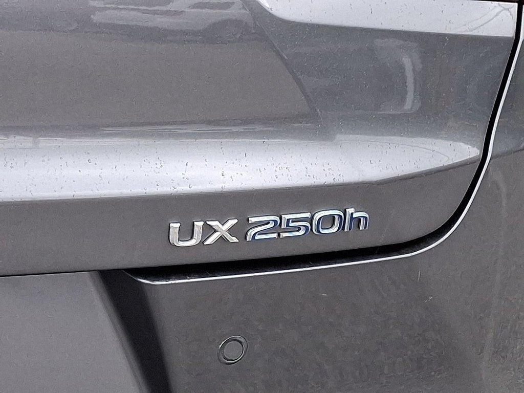 2019 Lexus UX Base